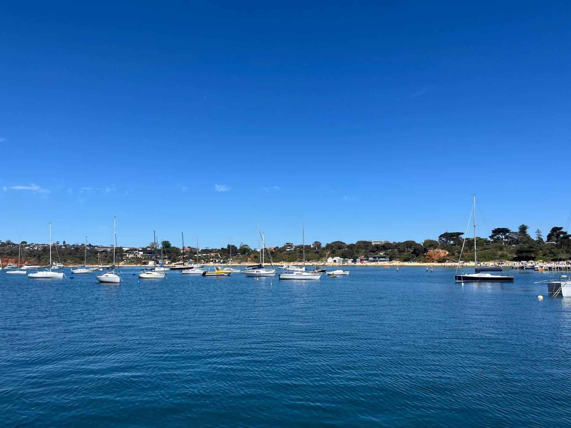 Charlie Sweet Home At Mornington Peninsula Mount Martha Kültér fotó